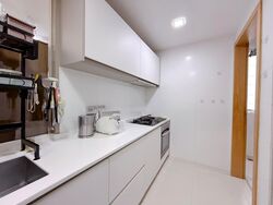 H2O Residences (D28), Condominium #554147841